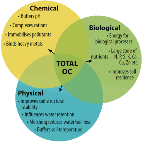 How much carbon diagram